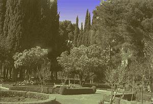 Tlemcen 502- Jardin public